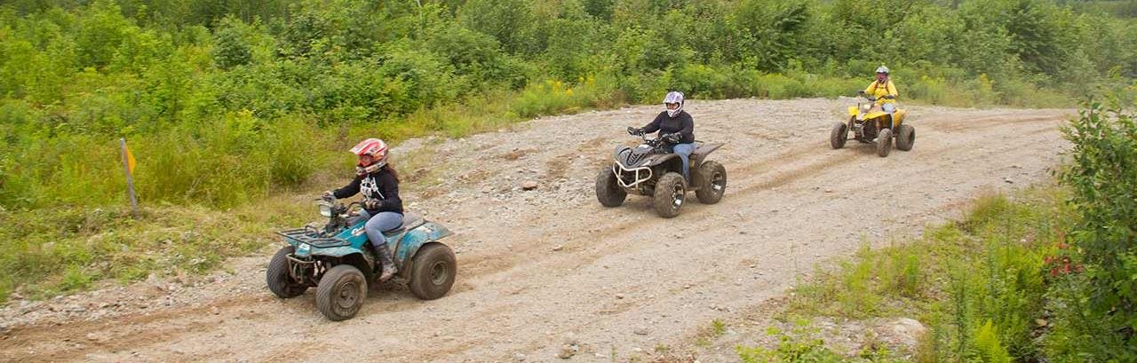 People four wheeling on a trail